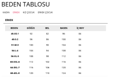 1002 ERKEK FANİLA