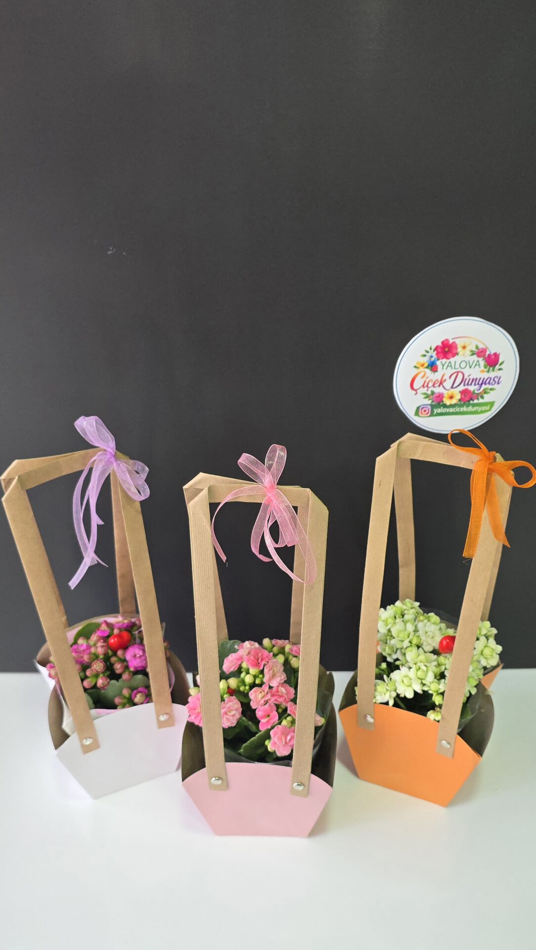 Tatlı Bahar Sepetleri